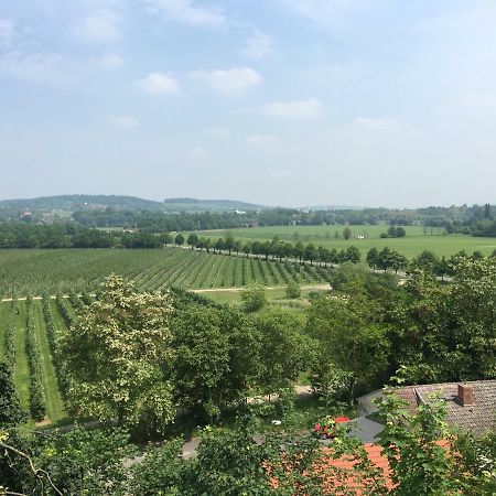 Ferienwohnung Zum Saaletalblick Naumburg  Dış mekan fotoğraf