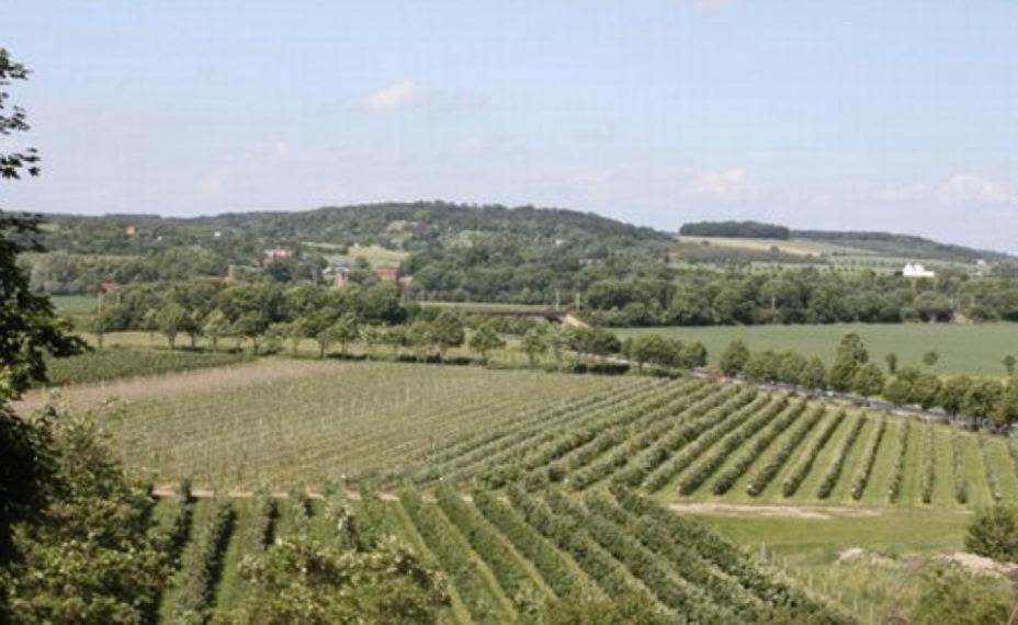 Ferienwohnung Zum Saaletalblick Naumburg  Dış mekan fotoğraf