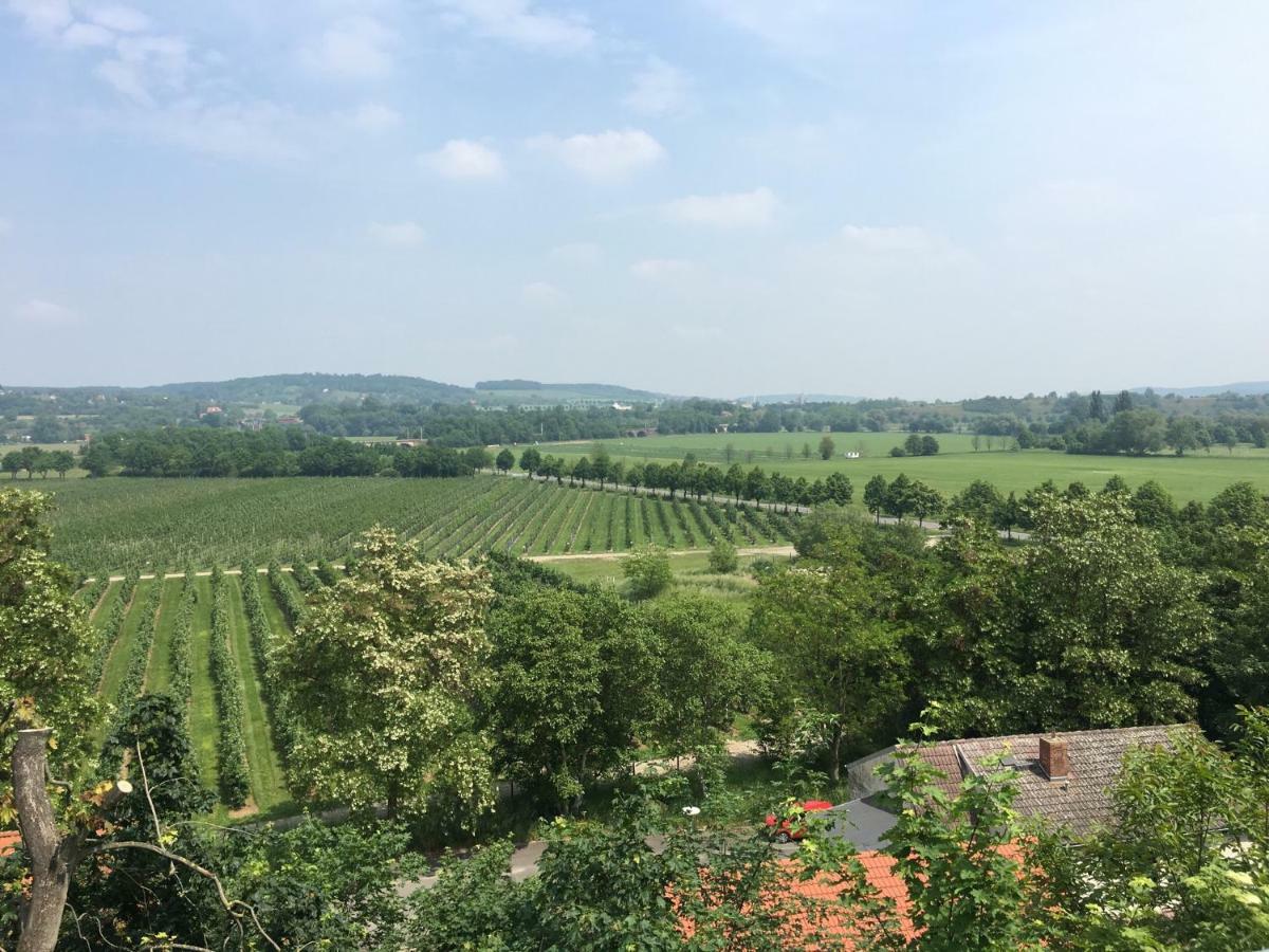 Ferienwohnung Zum Saaletalblick Naumburg  Dış mekan fotoğraf