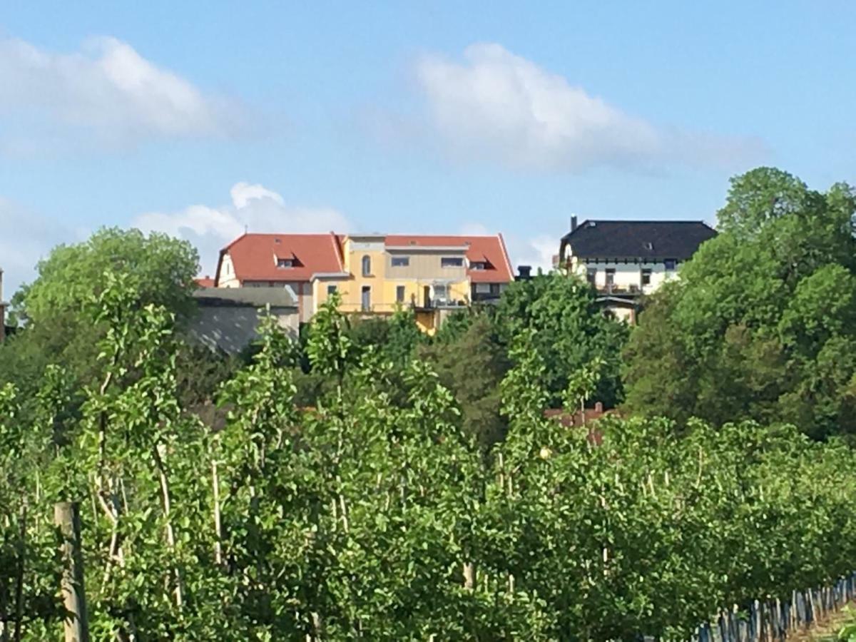Ferienwohnung Zum Saaletalblick Naumburg  Dış mekan fotoğraf
